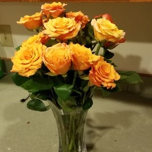 Meet your Posher, Caroline